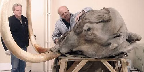 Lezing: ‘De Noordzee als schatkamer voor paleontologie en archeologie’ in Panne